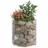 Product Thumbnail Image 5 of 6