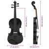 vidaXL Violin Full Set with Bow and Chin Rest Black 4/4