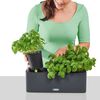 Product Thumbnail Image 7 of 10