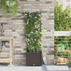 Product Thumbnail Image 3 of 10