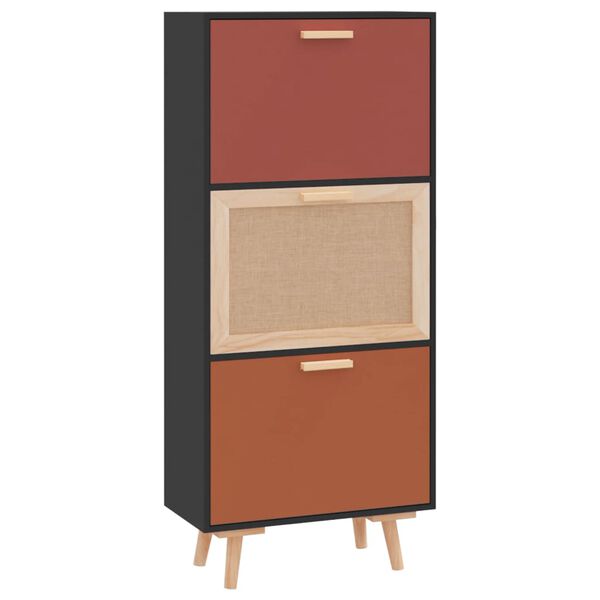 vidaXL Shoe Cabinet Black 52x25x120 cm Engineered Wood