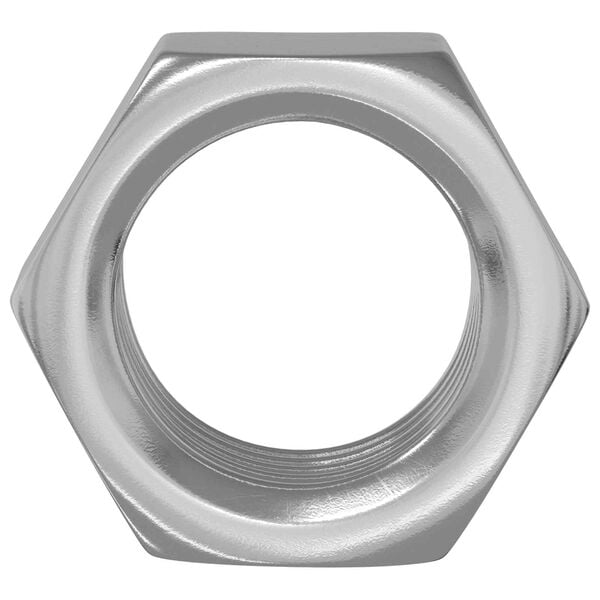 vidaXL Hex Nuts 2 pcs Silver M6 Steel