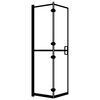 vidaXL Folding Shower Enclosure ESG 100x140 cm Black