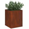 Product Thumbnail Image 3 of 14