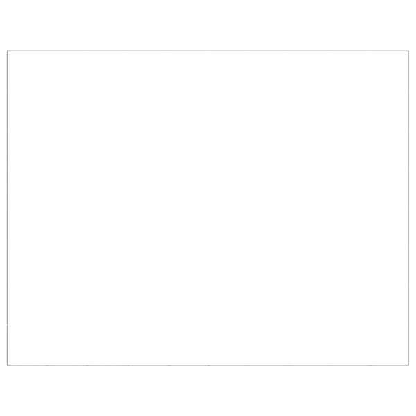 vidaXL Dog Kennel Silver 80 m² Steel