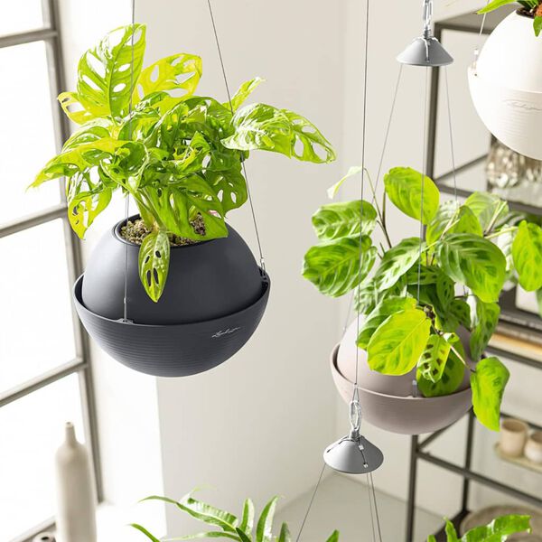 LECHUZA Hanging Planter BOLA Color 23 ALL-IN-ONE Slate