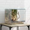vidaXL Terrarium with Storage Transparent 30 x 30 x 30 cm Glass