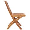 vidaXL Folding Garden Chairs 8 pcs Solid Teak Wood