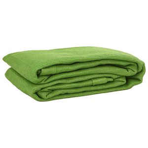 vidaXL Tent Carpet Light Green 200x200 cm HDPE