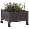 Product Thumbnail Image 3 of 8