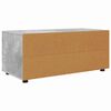 vidaXL TV Cabinet Concrete Grey 100 x 48 x 43 cm Engineered Wood