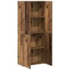 vidaXL Office Cabinet with Door Old wood 60 x 32 x 153 Engineered wood