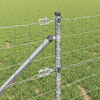 Product Thumbnail Image 5 of 17