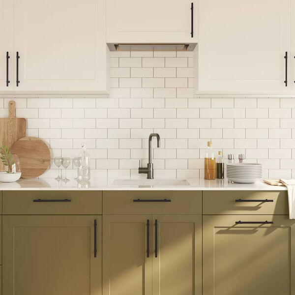 vidaXL Cabinet Handles 10 pcs Black 160 mm Stainless Steel