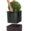 Product Thumbnail Image 4 of 8