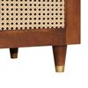 vidaXL Coffee Tables Brown 100 x 54 x 40 cm Cane and solid mango wood