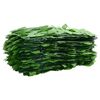 vidaXL Balcony Screen with Green Leaves 500x100 cm
