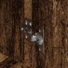 Product Thumbnail Image 9 of 14
