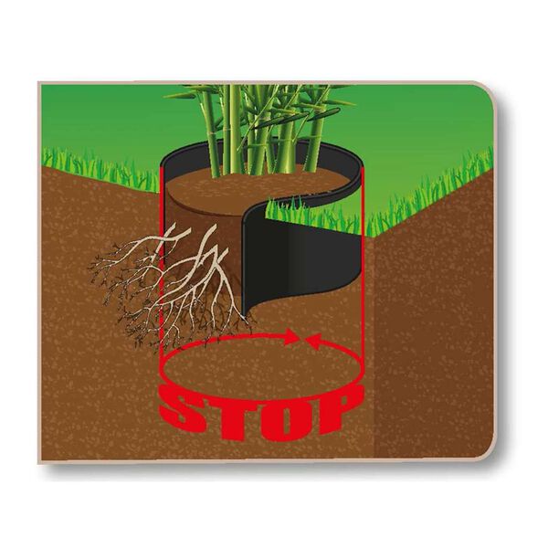 Showing Product Image 4 of 4