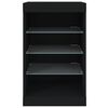 vidaXL Sideboard with LED Lights Black 41x37x67 cm
