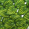 Product Thumbnail Image 4 of 6