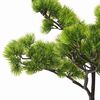 Product Thumbnail Image 4 of 7