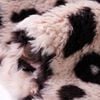 Product Thumbnail Image 6 of 7