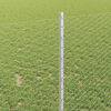 Product Thumbnail Image 4 of 7