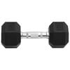 vidaXL Dumbbells 2 pcs 16 kg Total Cast Iron
