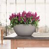LECHUZA Planter CUBETO Stone 40 ALL-IN-ONE Stone Grey 13840