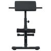 vidaXL Hyperextension Bench Manual Black 100.5 x 70 x 78 cm