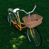 Product Thumbnail Image 2 of 12