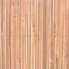 vidaXL Bamboo Fence 1000x70 cm