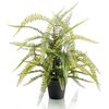 Emerald Artificial Boston Fern 70 cm in Plastic Pot
