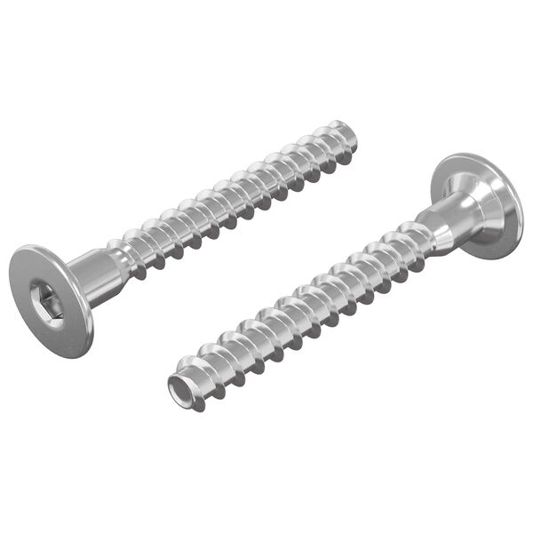 vidaXL Confirmat Screws 2 pcs Silver &Oslash;5 x 40 mm Metal