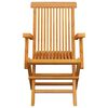 vidaXL Garden Chairs 3 pcs Solid Teak Wood