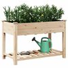 vidaXL Garden Planter Beige 115 x 59 x 76.5 cm Solid Fir Wood