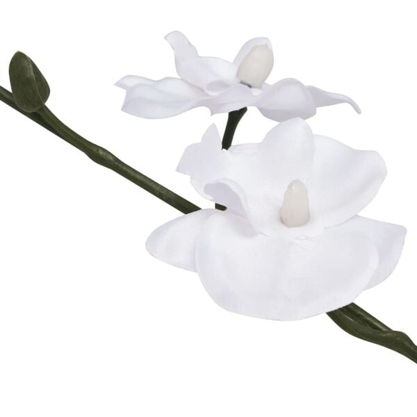 Showing Product Image 2 of 2