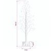 Product Thumbnail Image 7 of 7