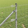 Product Thumbnail Image 4 of 16