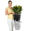 LECHUZA Planter CLASSICO LS 43 ALL-IN-ONE High-Gloss White 16080