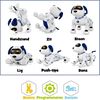 Gear2Play Remote-controlled Interactive Dog Toy Robot Robo Max