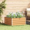 vidaXL Garden Raised Bed Light Brown 100 x 100 x 45 cm
