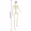 vidaXL Halloween Skeleton 2 pcs White 85 cm Polypropylene
