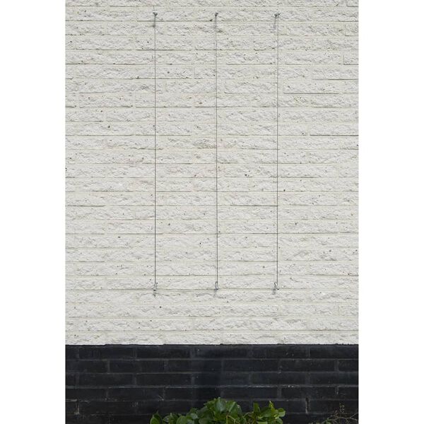 Nature Wire Trellis Sets for Climbing Plants 2 pcs