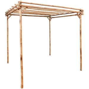 vidaXL Pergola | Natural Bamboo | 170x170x220 cm | Tough | Pergola | Square