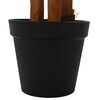 Product Thumbnail Image 5 of 6