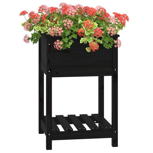 vidaXL Planter with Shelf Black 54x54x81 cm Solid Wood Pine