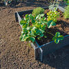Nature Raised Garden Bed 19 cm 6040690