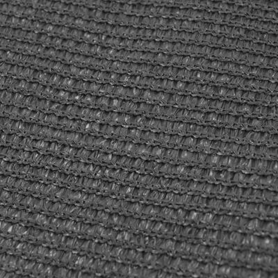 vidaXL Tent Carpet 250x500 cm Anthracite